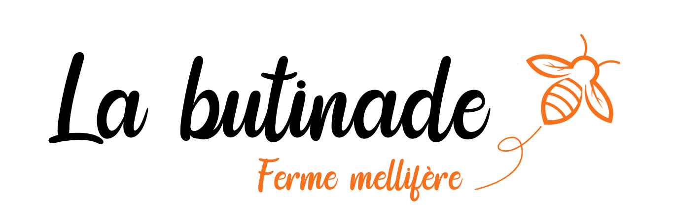 Logo butinade